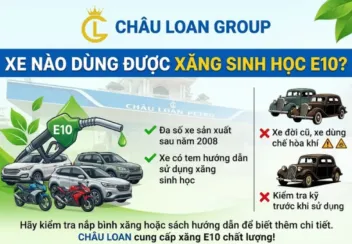Xe nào dùng được xăng sinh học E10?
