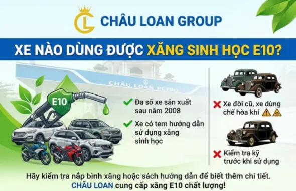 Xe nào dùng được xăng sinh học E10?